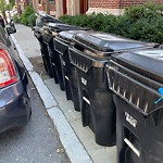 Trash/Recycling at 47 Alton Pl