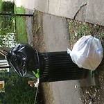 Trash/Recycling at 45 Russell St North Brookline