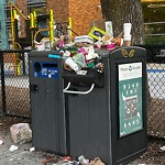 Trash/Recycling at 335 Harvard St