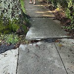 Sidewalk Repair at 308 Russett Rd