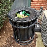 Rodent Issues at 235 Cypress St