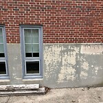 Rodent Issues at 11 Pierce St