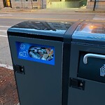 Trash/Recycling at 171 Harvard St