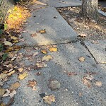 Sidewalk Repair at 45 Garrison Rd