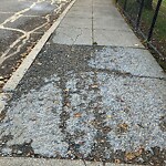 Sidewalk Repair at 237–299 Aspinwall Ave