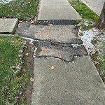 Sidewalk Repair at 103 Independence Dr, Chestnut Hill