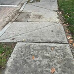Sidewalk Repair at 48 Independence Dr, Chestnut Hill