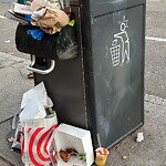 Rodent Issues at 42.34 N 71.13 W