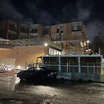 Rodent Issues at 1622 Beacon St, Brookline 02446