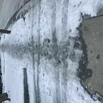 Unshoveled/Icy Sidewalk at 150 Lancaster Terr