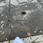 Pothole at 44 Marion St