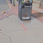 Trash/Recycling at 524 Harvard St