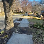 Sidewalk Repair at 42.34 N 71.13 W