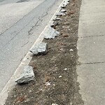 Sidewalk Obstruction at 67 Powell St