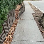 Sidewalk Obstruction at 30 Williston Rd