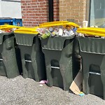Recycling at 306 Harvard St