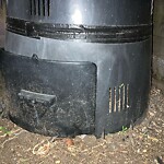 Rodent Issues at 64 Harvard St