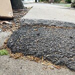 Sidewalk Repair at 70 Francis St