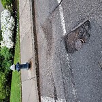 Pothole at 20 Chapel St