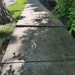 Sidewalk Repair at 591 Chestnut Hill Ave