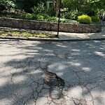 Pothole at 1 Somerset Rd