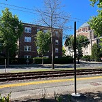 Public Trees at 1162–1172 Beacon St