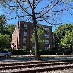 Public Trees at 1122–1150 Beacon St