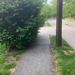 Sidewalk Obstruction at 144 Middlesex Rd, Chestnut Hill