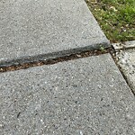 Sidewalk Repair at 1265–1275 Beacon St, Brookline 02446