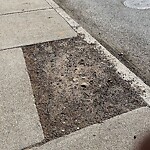 Public Trees at 599 Brookline Ave