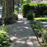 Sidewalk Obstruction at 67 Beals St