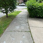 Sidewalk Repair at 64 Corey Rd, Boston