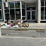 Trash/Recycling at 283 Harvard St