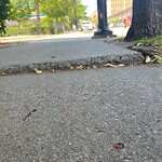Sidewalk Repair at 174 Harvard St