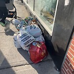 Trash/Recycling at 305 Harvard St