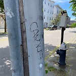 Graffiti at 44–52 Aspinwall Ave