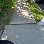 Sidewalk Repair at 157 Jordan Rd