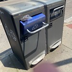 Trash/Recycling at 239 Harvard St