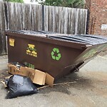 Trash/Recycling at 20 Webster Pl