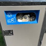 Trash/Recycling at 2–98 Bowker St