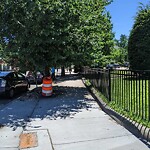 Public Trees at 496 Harvard St