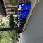 Trash/Recycling at 88 Harvard Ave