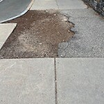 Sidewalk Repair at 47–63 Harvard St
