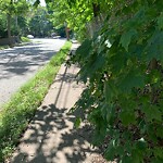 Sidewalk Obstruction at 62 Clark Rd