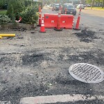 Sidewalk Repair at 1–79 Goodwin Pl