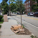 Public Trees at 50 Longwood Ave # 1114