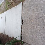 Sidewalk Repair at 90 Verndale St