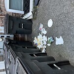 Trash/Recycling at 74 Browne St