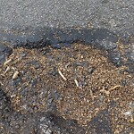 Pothole at 86 Browne St, Brookline 02446