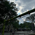 Park Playground at 335 Harvard St